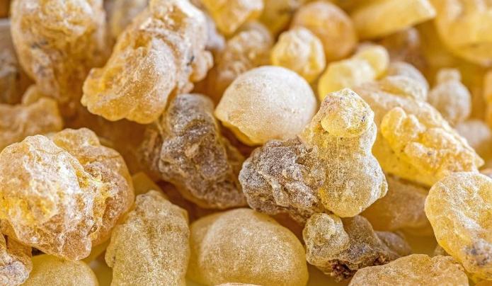 Frankincense Oil: Sacred Oil for Tranquility and Deep Relaxation