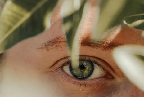 HPR Permanent Floral Eye Serum Oil: Scientific interpretation of the ingredients to eliminate dark circles under the eyes